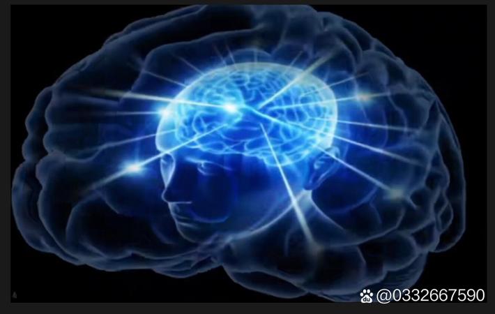 甜蜜暴击！某明星夫妻宣布迎来二胎，晒全家福温馨感人，粉丝疯狂送祝福